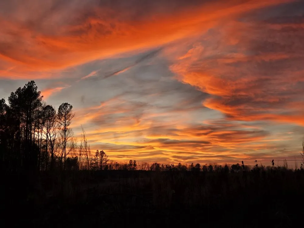 Expert lawn mowing service for outdoor upgrades in Goldsboro, NC by Gto Landscaping