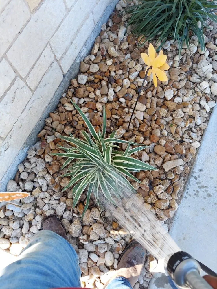 Custom landscaping services in Austin, TX - GTO Masonry & Concrete