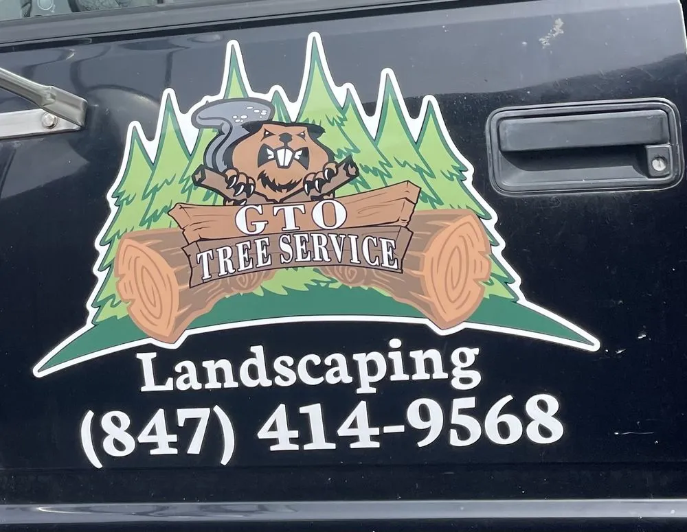 Affordable lawn care service for year-round maintenance across Evanston, IL - GTO Tree Services and Landscape