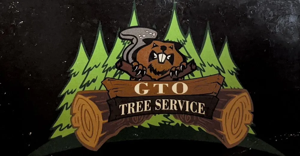 Reliable garden landscaping near you in Evanston, IL by GTO Tree Services and Landscape