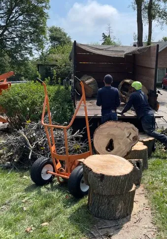 Affordable outdoor landscaping in Evanston, IL by GTO Tree Services and Landscape