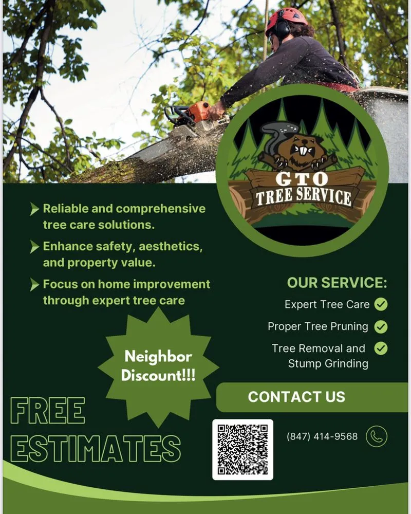 Top-rated yard maintenance in Evanston, IL - GTO Tree Services and Landscape