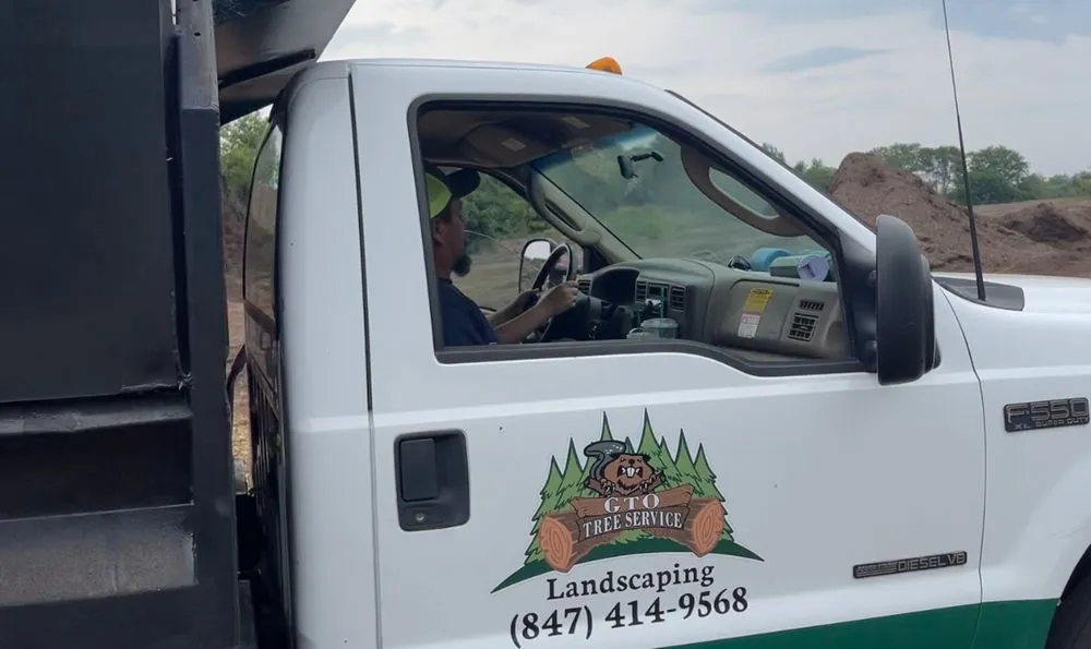 Reliable yard cleanup service for year-round maintenance across Evanston, IL - GTO Tree Services and Landscape