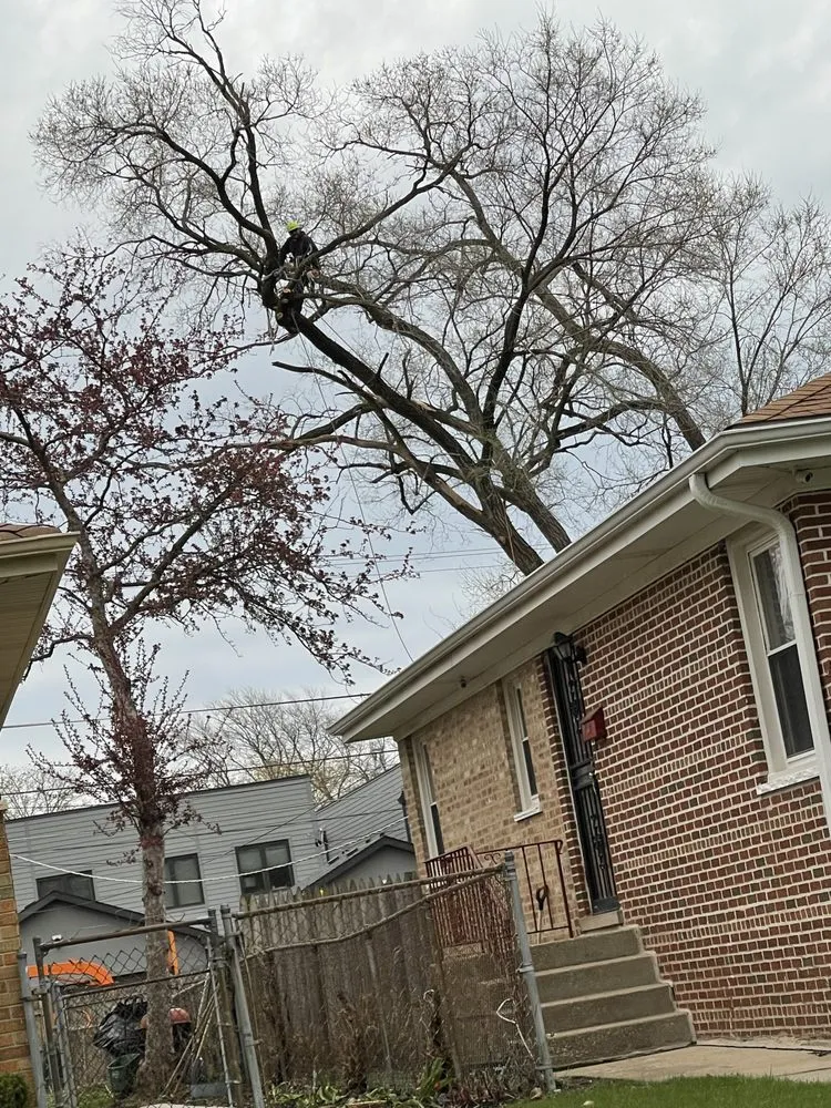 Expert residential landscaping near you in Evanston, IL by GTO Tree Services and Landscape