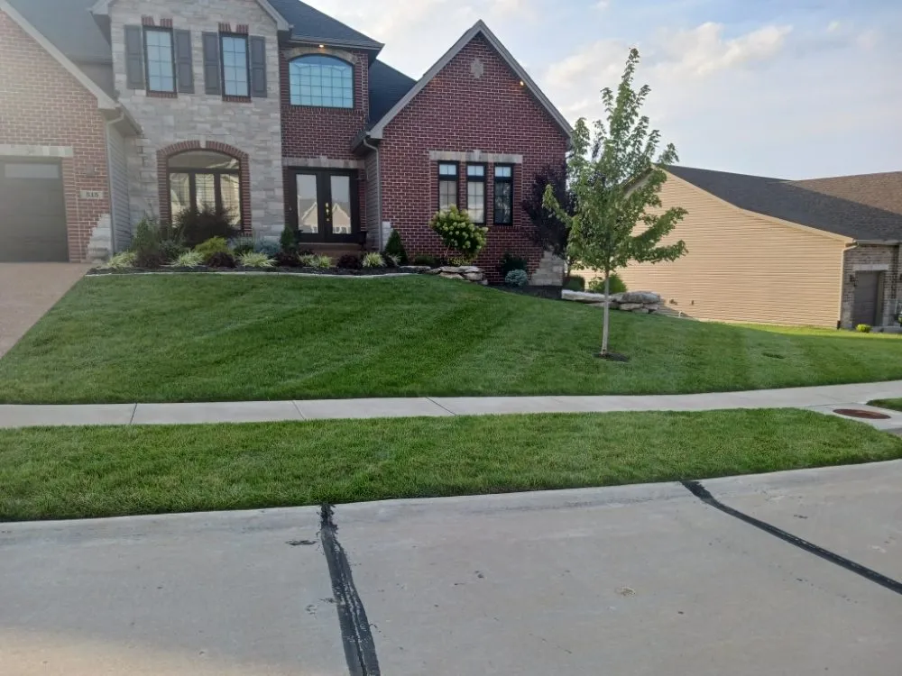 Reliable landscaping services experts serving Festus, MO - Gtpi Lawncare