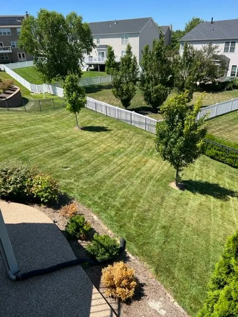 Expert landscape design in Festus, MO - Gtpi Lawncare