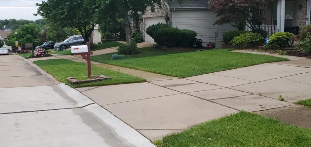 Affordable residential landscaping for outdoor upgrades in Festus, MO by Gtpi Lawncare