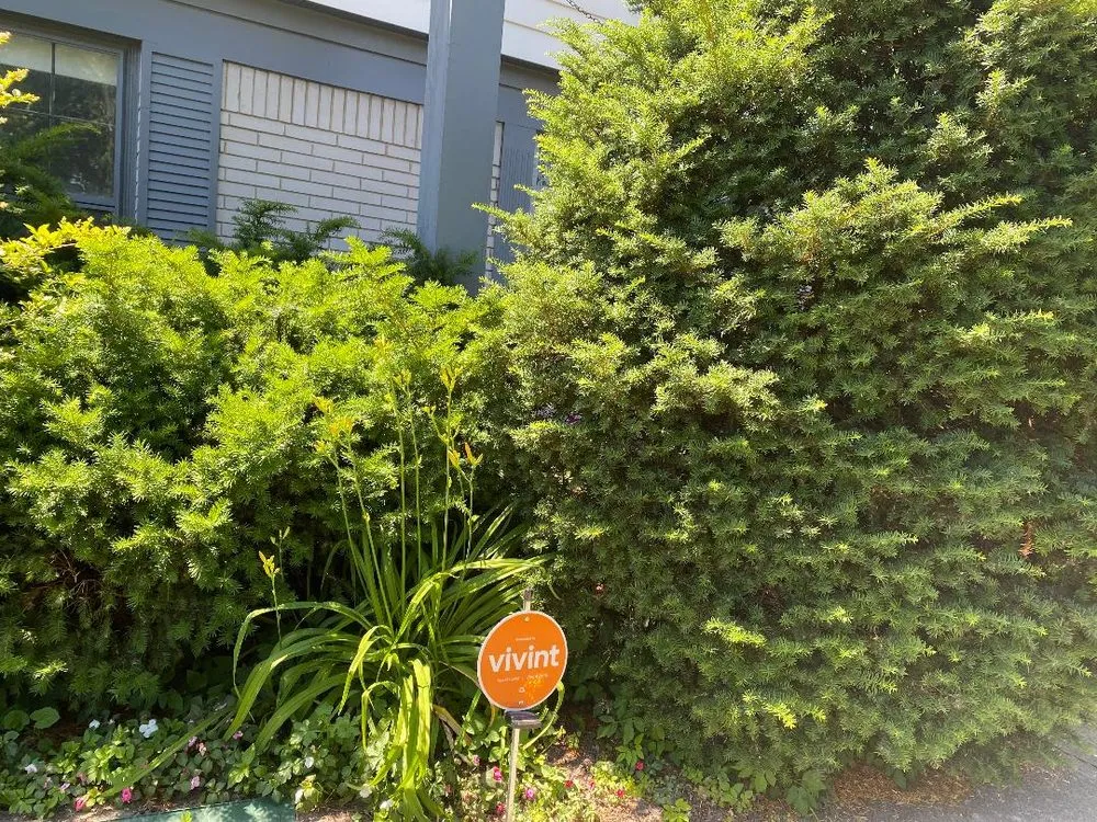 Top-rated yard cleanup service in Berkley, MI - GTR Lawn Service