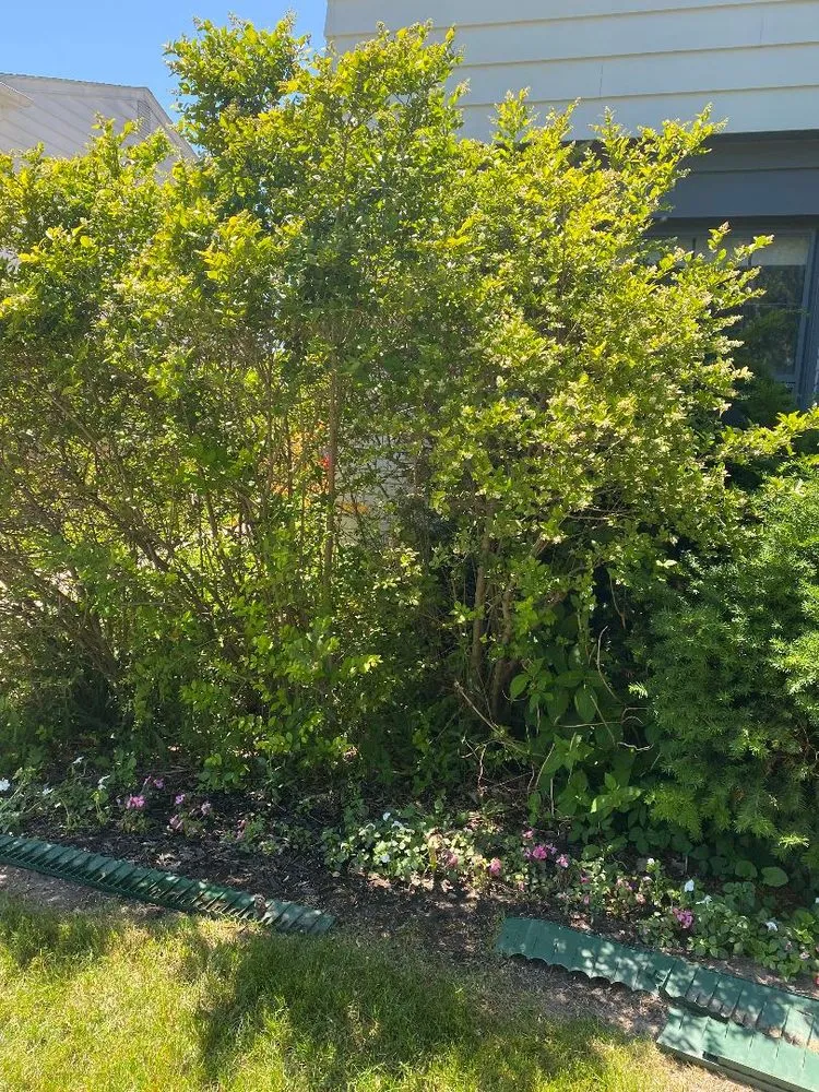 Custom landscape design experts serving Berkley, MI - GTR Lawn Service