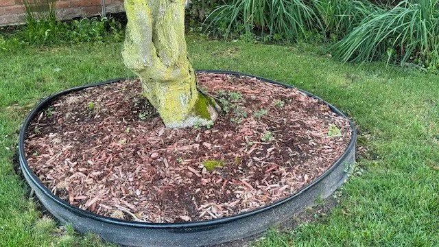 Reliable yard cleanup service with custom design in Berkley, MI by GTR Lawn Service