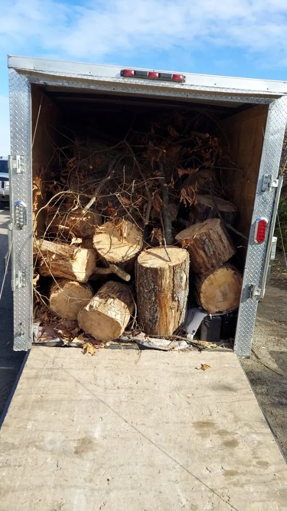 Professional landscaping services in Richmond, VA - G&TS services