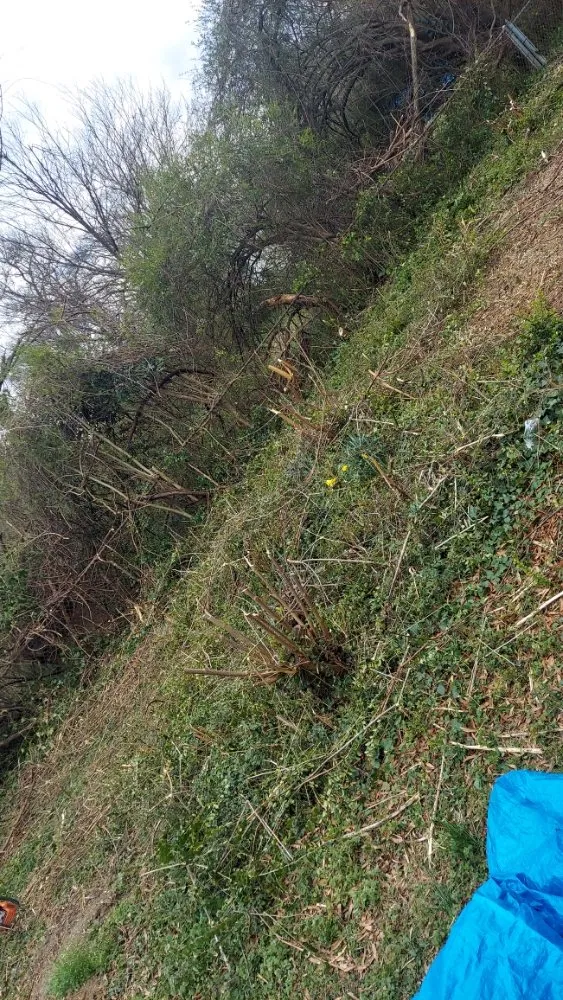 Local landscape installation with custom design in Richmond, VA by G&TS services