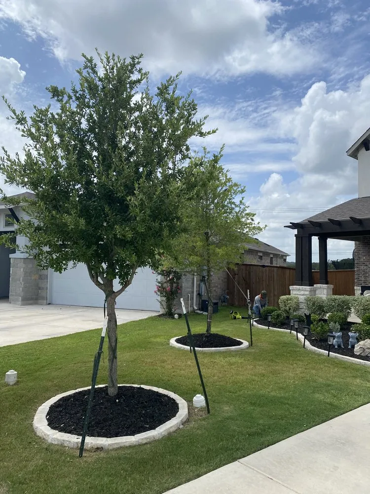 Expert landscape installation in Georgetown, TX - GTX Lawn Care