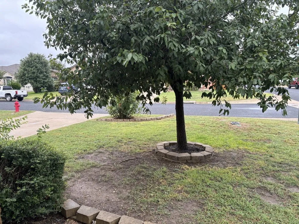 Top-rated lawn mowing service experts serving Georgetown, TX - GTX Lawn Care