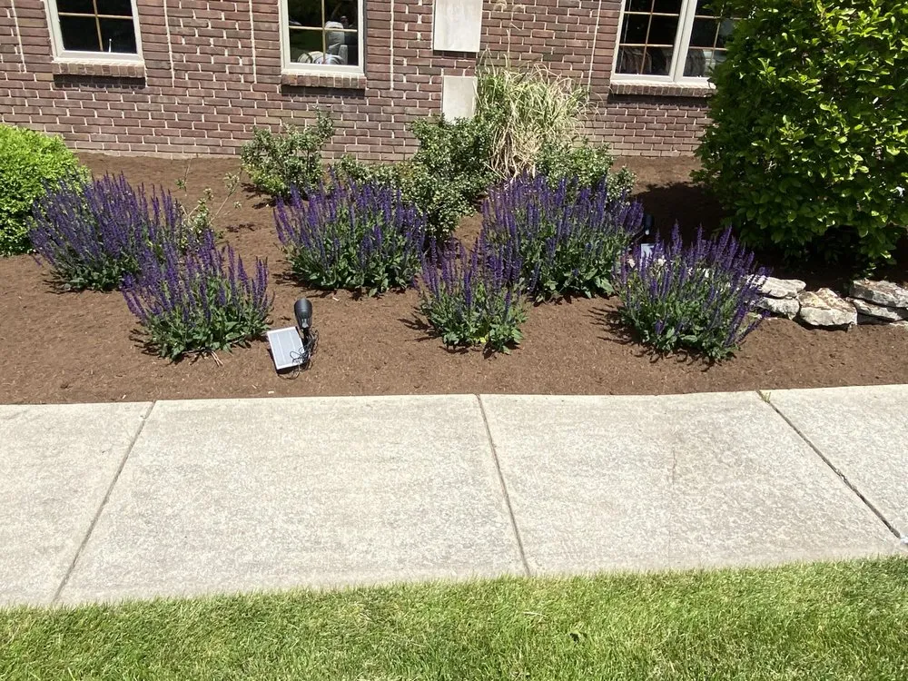 Affordable outdoor landscaping in Indianapolis, IN - GTZ Landscape and Construction