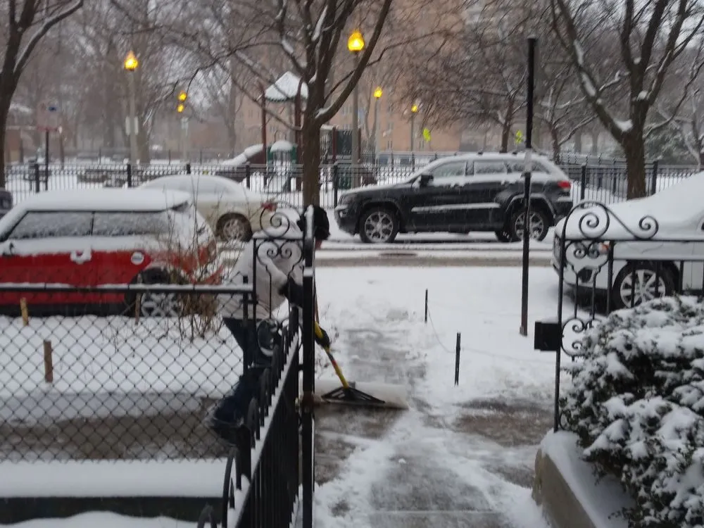 Affordable landscape design in Chicago, IL by GTZ Lawn Care