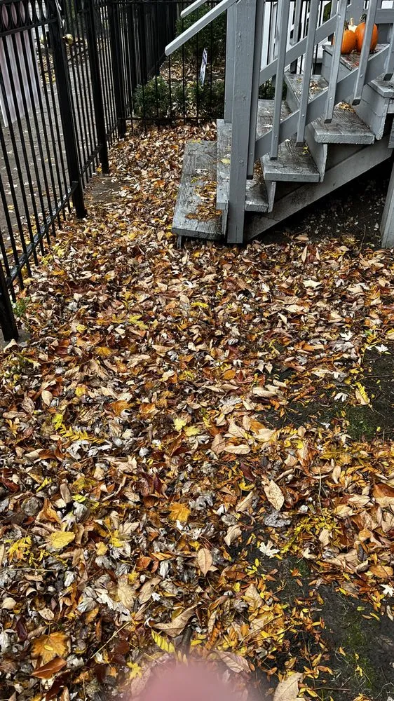 Affordable landscaping services in Chicago, IL - GTZ Lawn Care