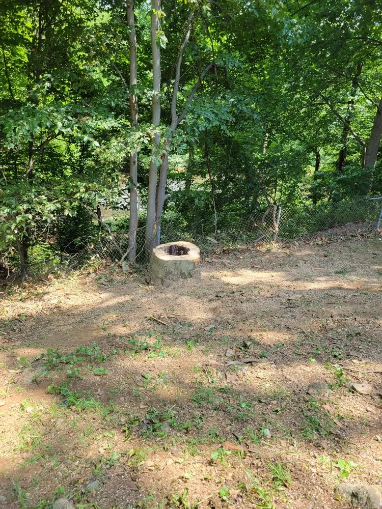 Professional landscape design experts serving trevose, PA - Guacamaya Tree Service