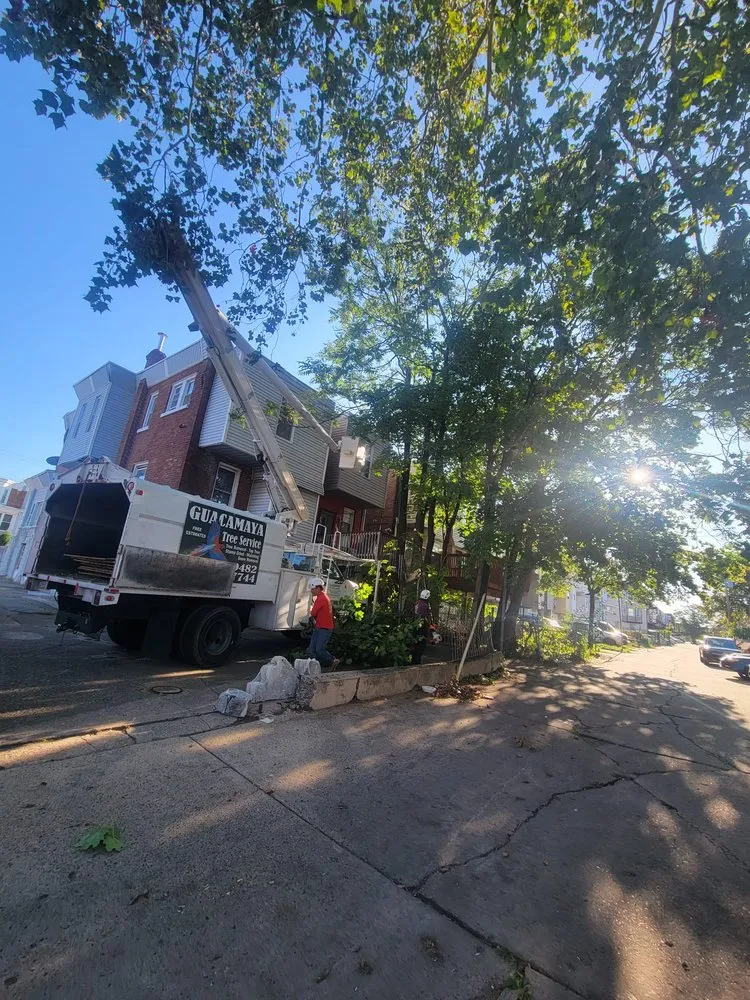 Local lawn mowing service experts serving trevose, PA - Guacamaya Tree Service