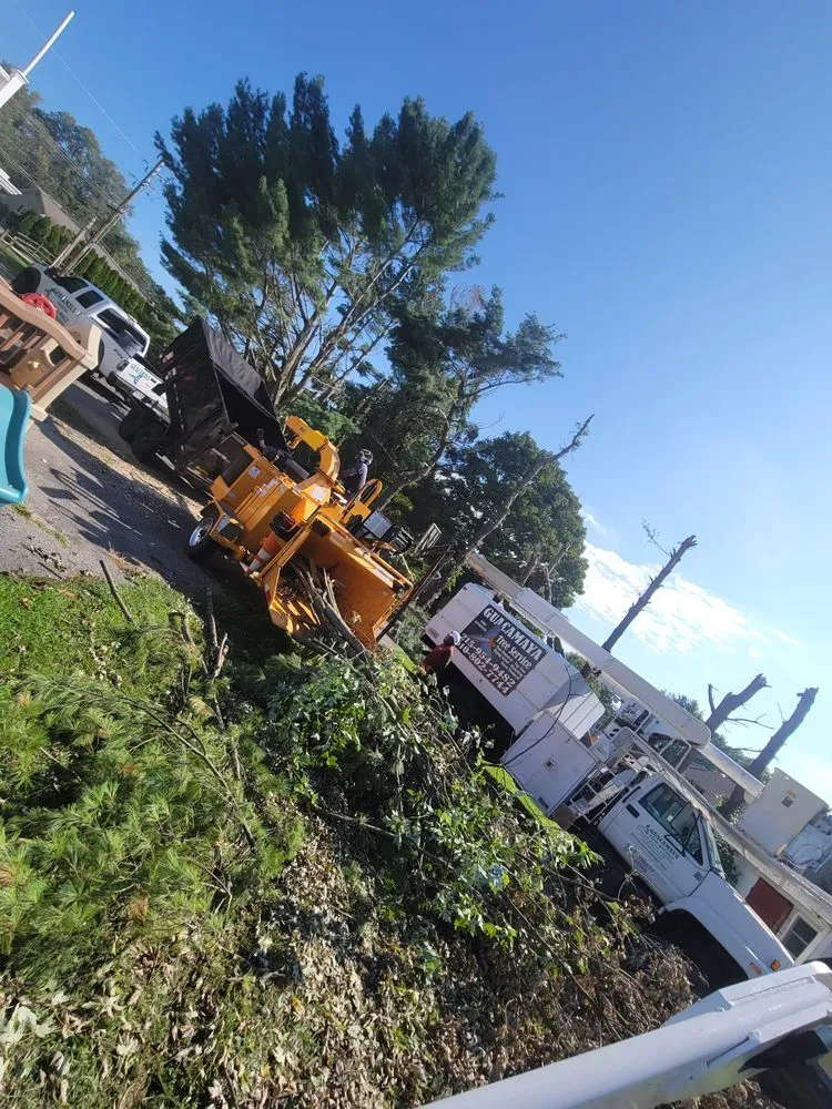 Trusted garden landscaping for outdoor upgrades across trevose, PA - Guacamaya Tree Service