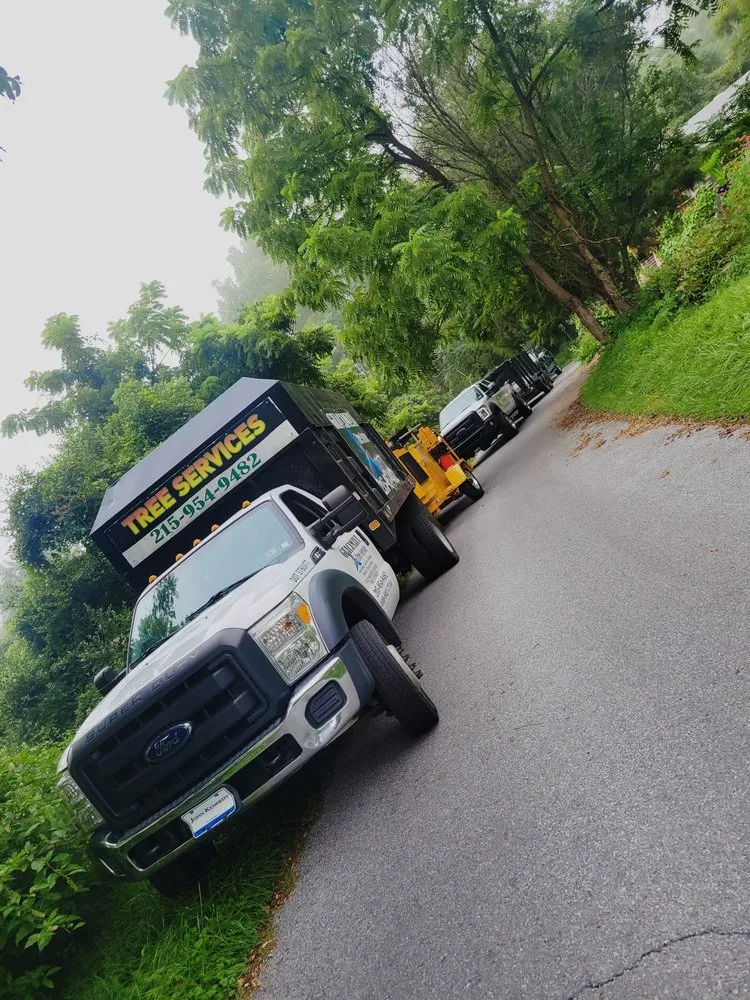 Local outdoor landscaping in trevose, PA - Guacamaya Tree Service