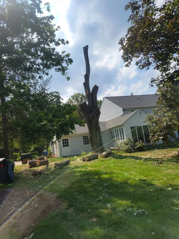 Affordable outdoor landscaping for beautiful yards across trevose, PA - Guacamaya Tree Service