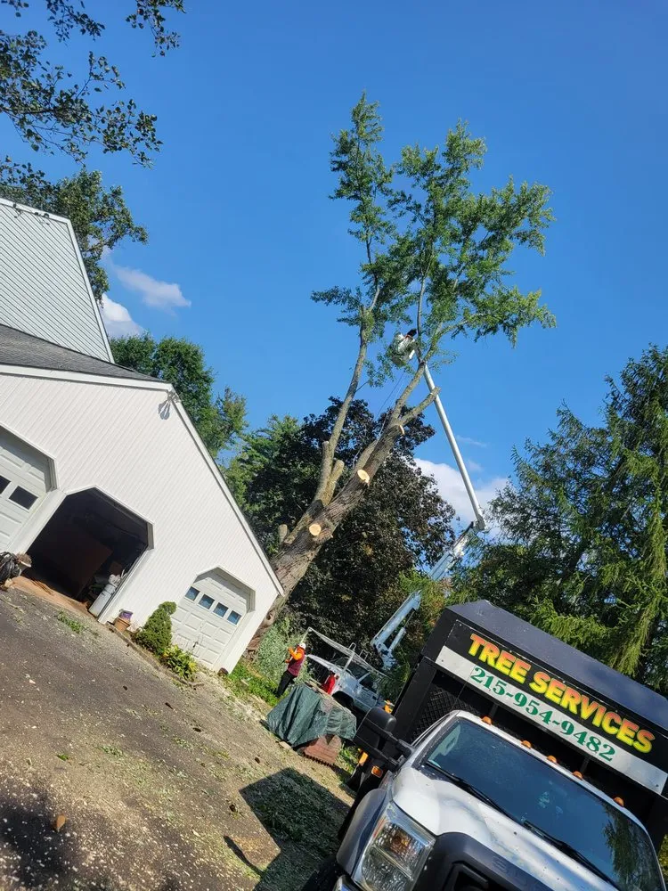 Custom lawn mowing service in trevose, PA - Guacamaya Tree Service