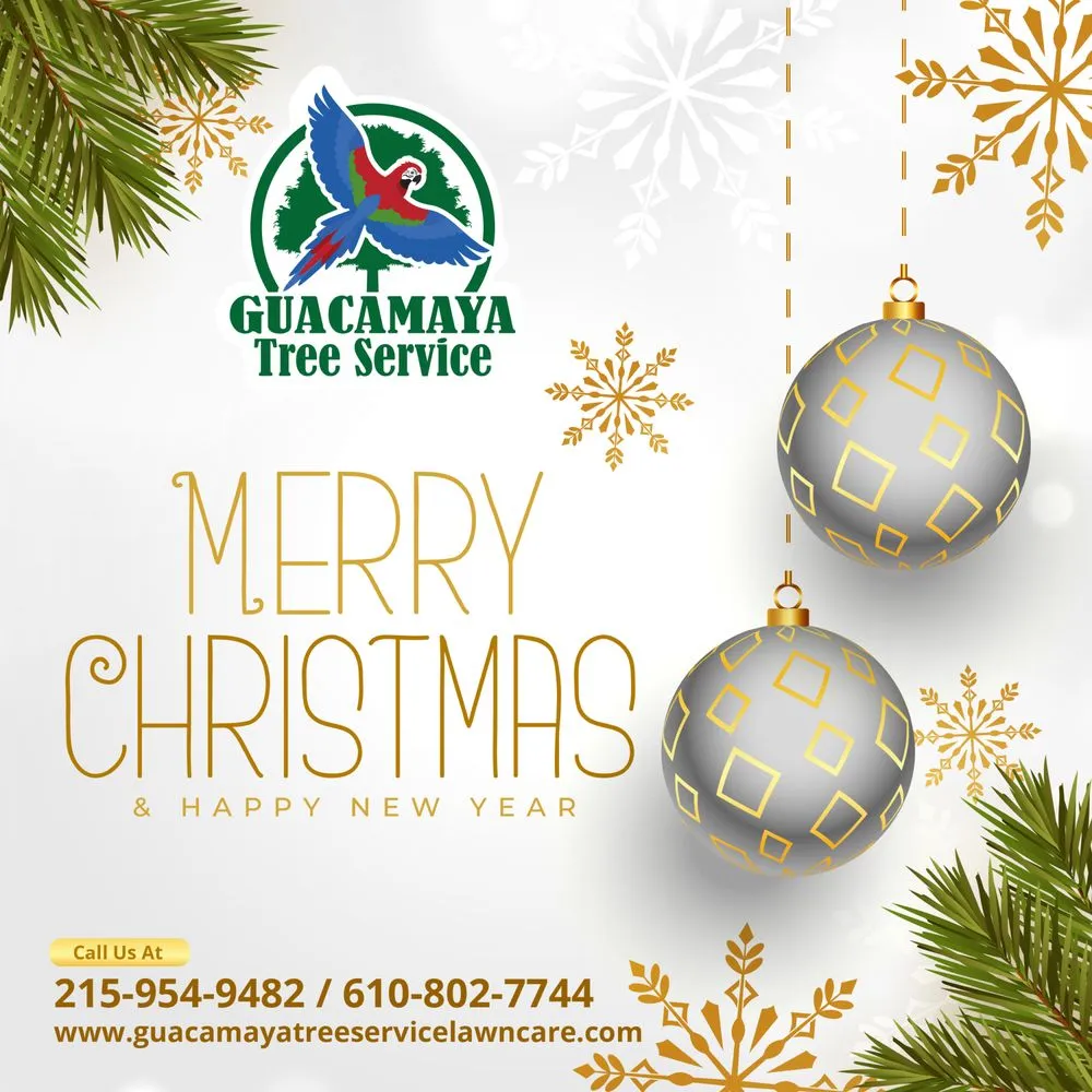 Top-rated residential landscaping in trevose, PA - Guacamaya Tree Service