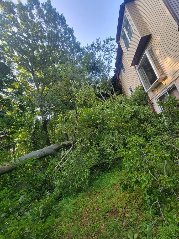 Affordable landscape design in trevose, PA by Guacamaya Tree Service