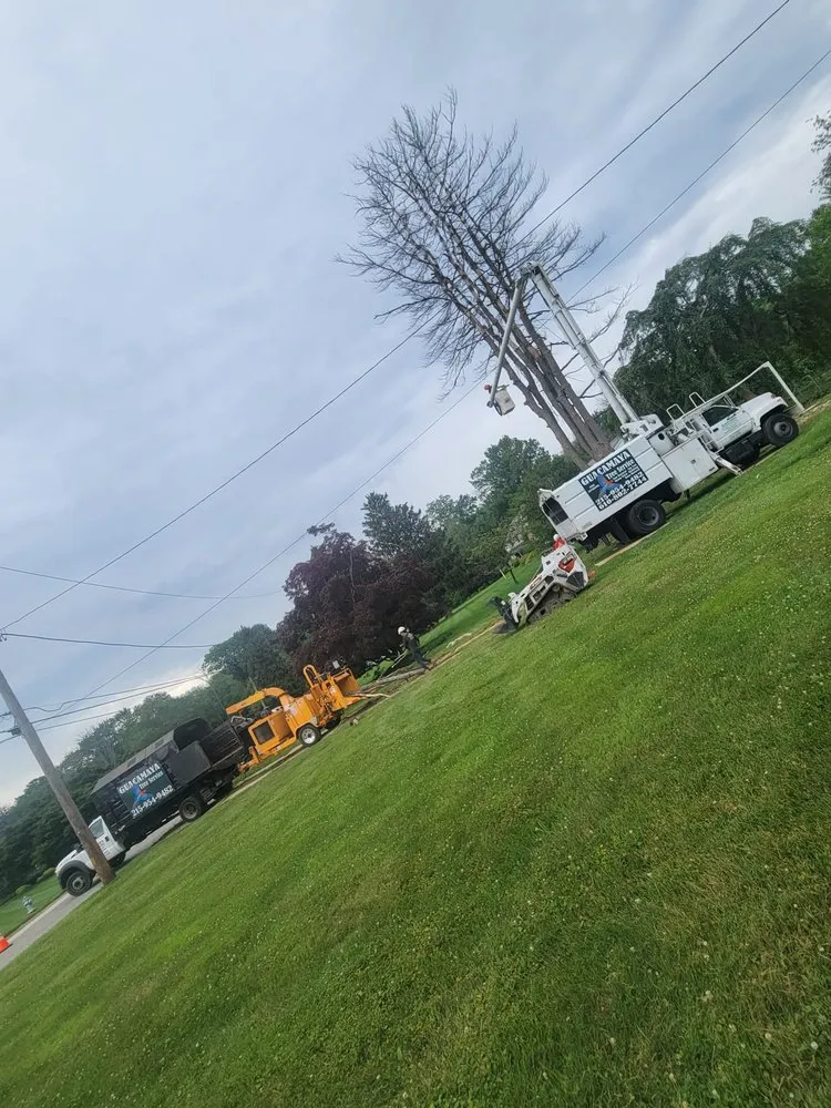 Trusted yard maintenance near you in trevose, PA by Guacamaya Tree Service