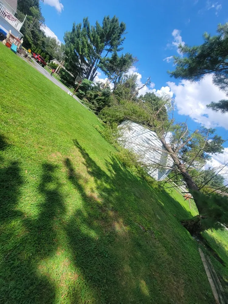 Local landscape installation with custom design across trevose, PA - Guacamaya Tree Service