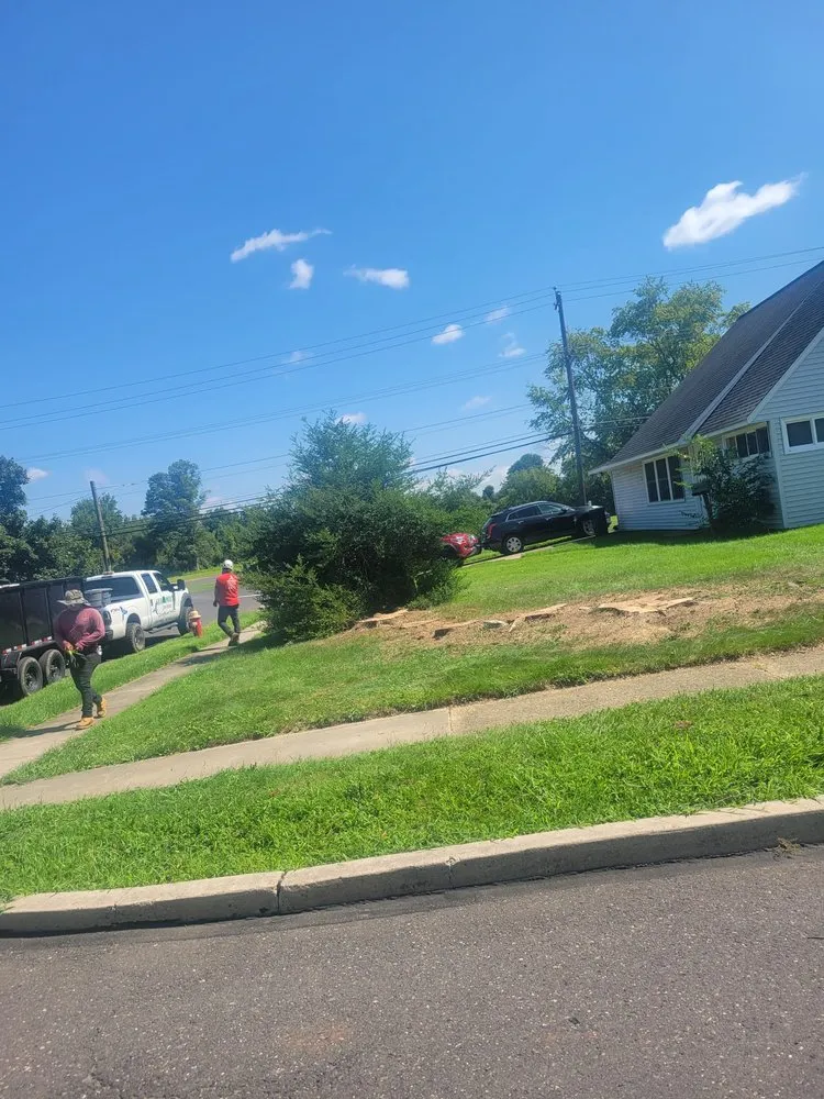Trusted landscape design in trevose, PA by Guacamaya Tree Service