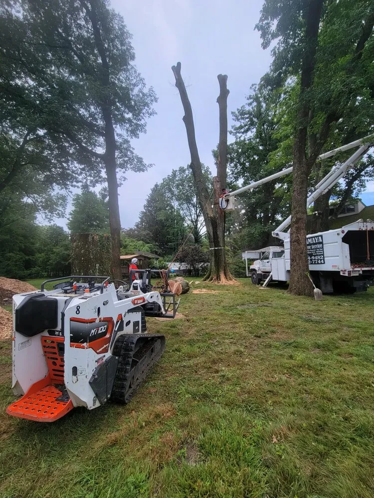 Custom residential landscaping for residential properties in trevose, PA by Guacamaya Tree Service