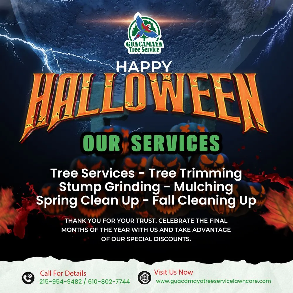 Top-rated yard maintenance in trevose, PA by Guacamaya Tree Service