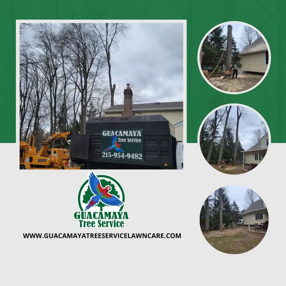 Affordable landscape design experts serving trevose, PA - Guacamaya Tree Service