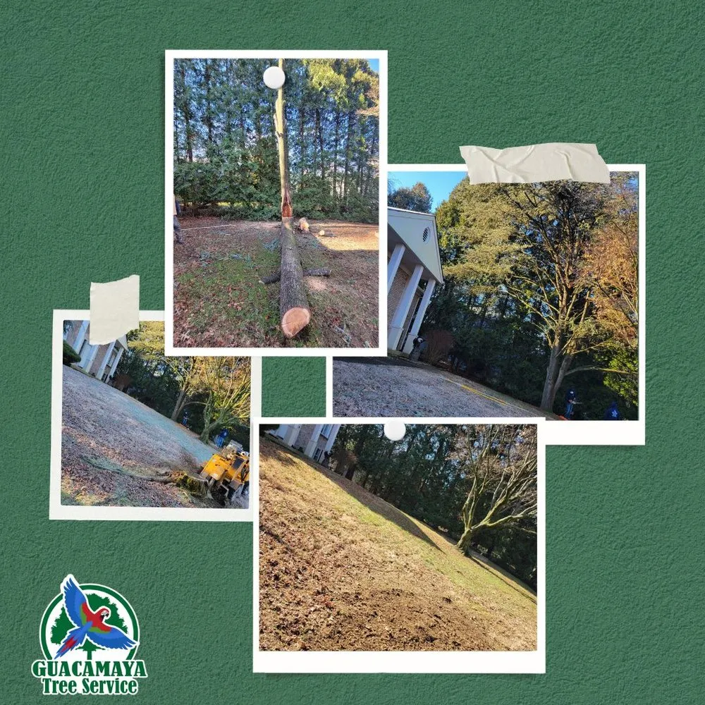 Custom landscape design in trevose, PA by Guacamaya Tree Service