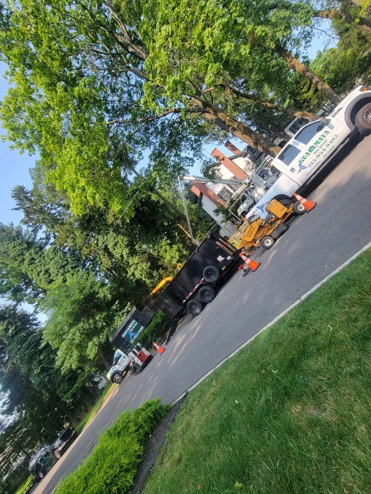 Trusted garden landscaping in trevose, PA - Guacamaya Tree Service