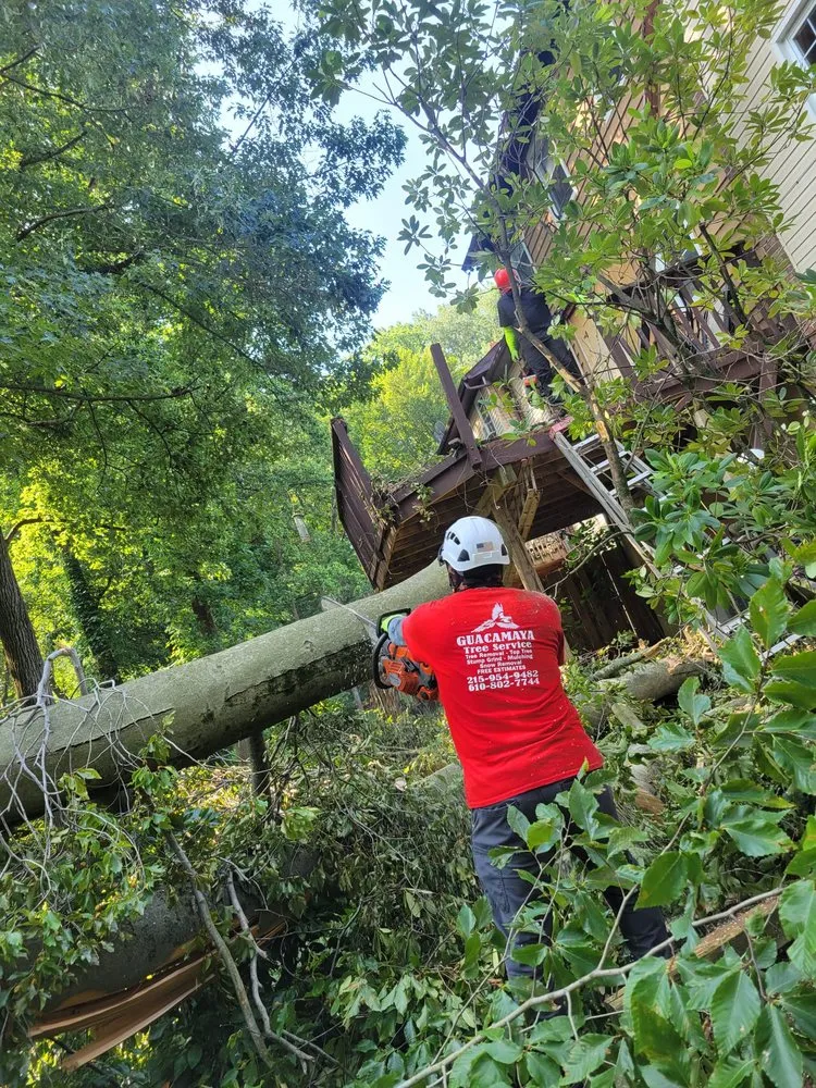 Professional lawn mowing service for outdoor upgrades across trevose, PA - Guacamaya Tree Service