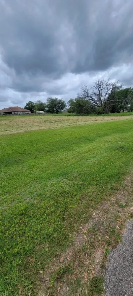 Reliable yard maintenance in Rosharon, TX by Guacamole Lawn Care Service