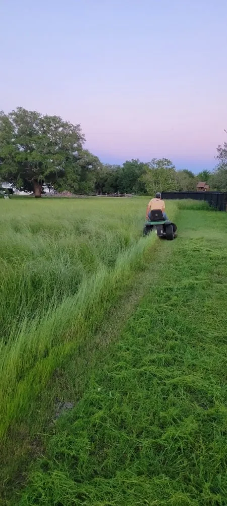 Custom yard cleanup service for beautiful yards across Rosharon, TX - Guacamole Lawn Care Service