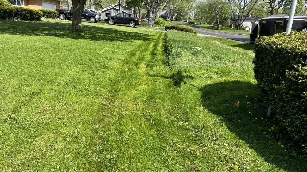 Trusted lawn care service in Mount Prospect, IL - Guaches Landscaping & Snow Removal