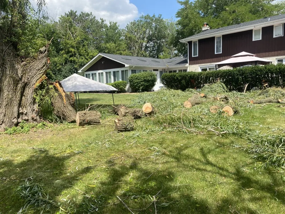 Affordable yard maintenance experts serving Mount Prospect, IL - Guaches Landscaping & Snow Removal