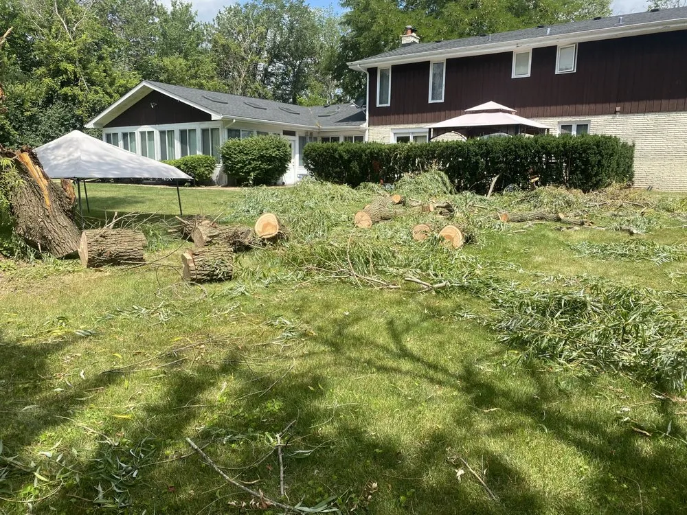 Professional lawn mowing service with custom design across Mount Prospect, IL - Guaches Landscaping & Snow Removal