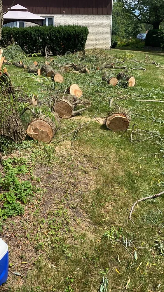 Professional yard cleanup service in Mount Prospect, IL by Guaches Landscaping & Snow Removal