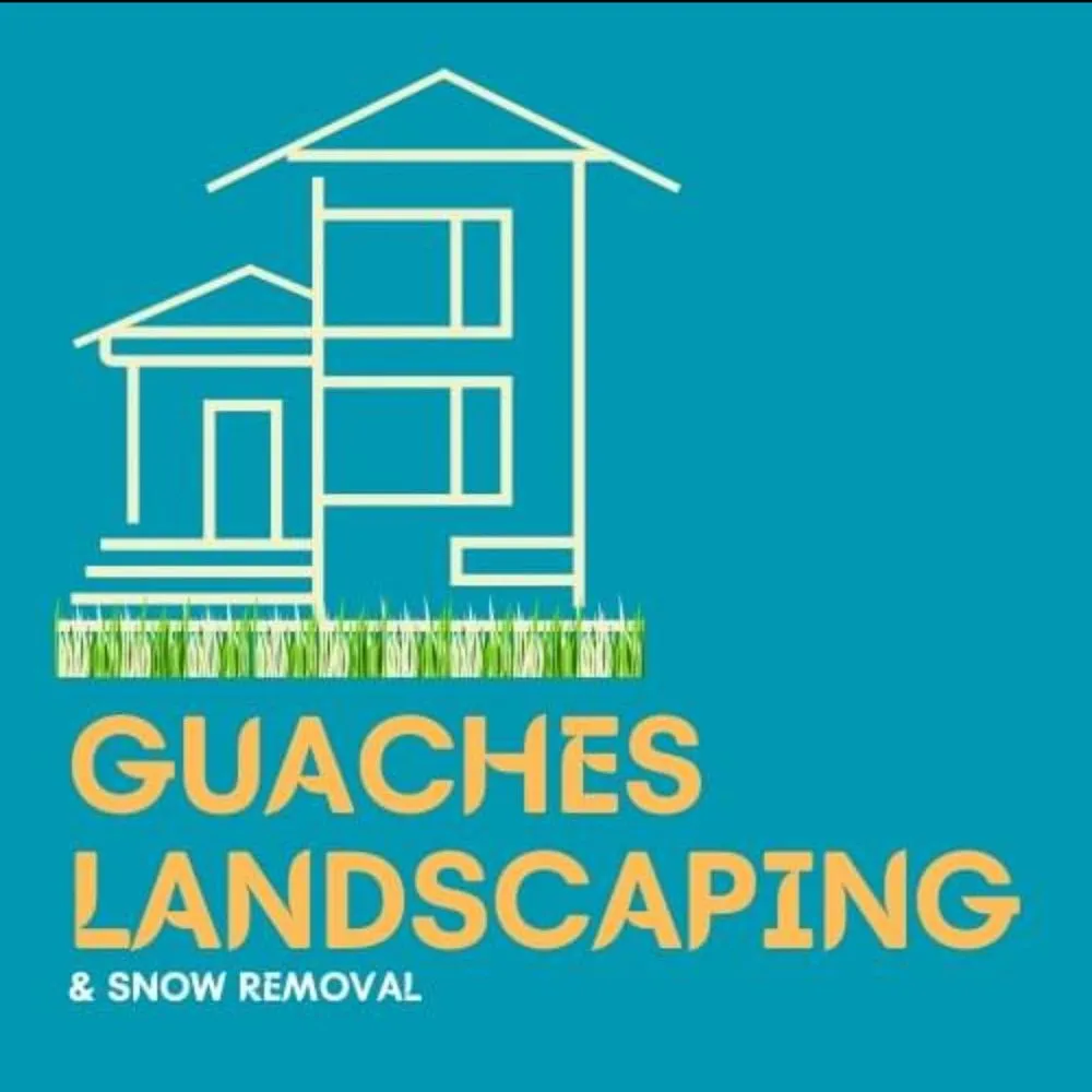 Professional yard cleanup service in Mount Prospect, IL by Guaches Landscaping & Snow Removal