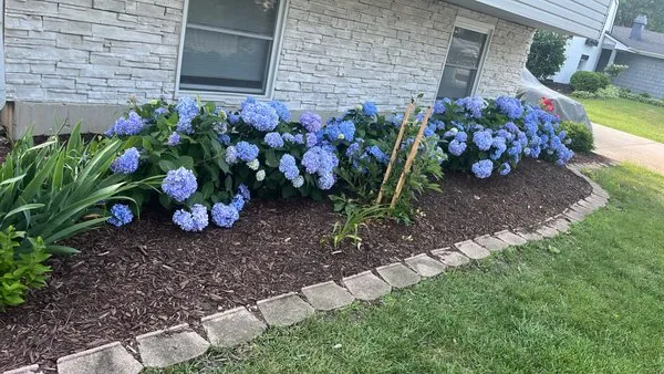 Guaches Landscaping & Snow Removal Logo