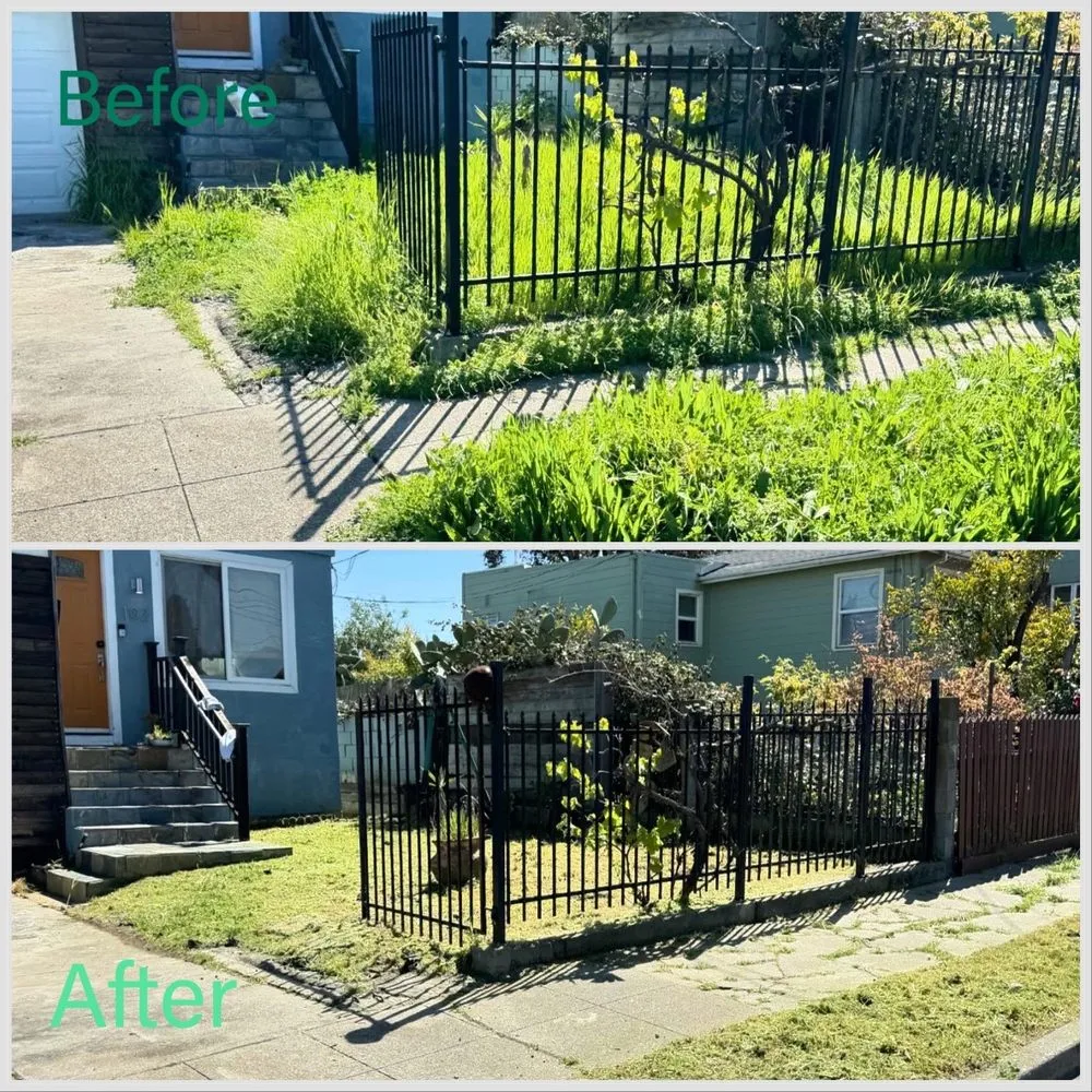 Affordable yard maintenance in Fairfield, CA by Guada Gardening