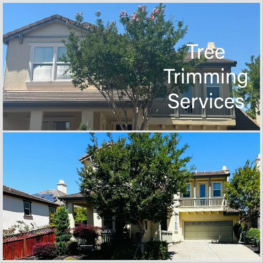 Professional outdoor landscaping experts serving Fairfield, CA - Guada Gardening