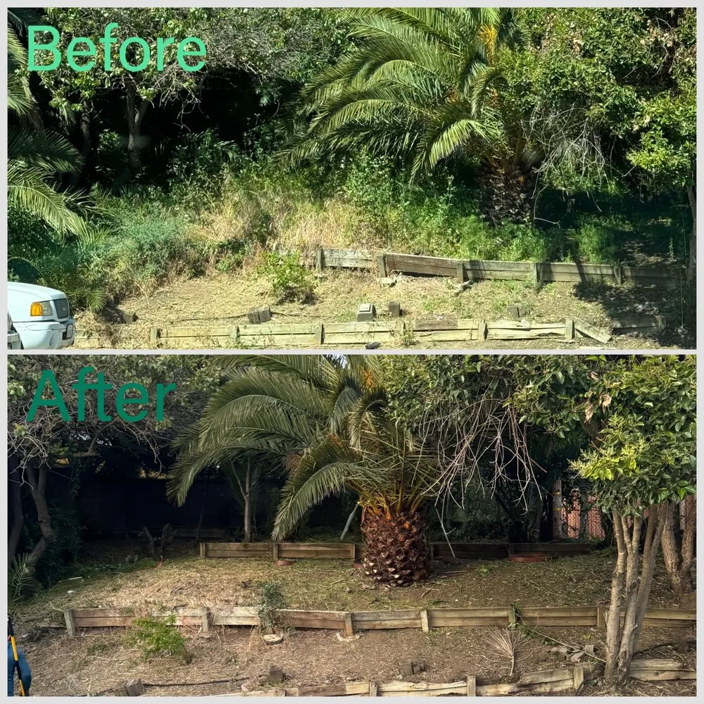 Affordable landscape installation for homes in Fairfield, CA by Guada Gardening