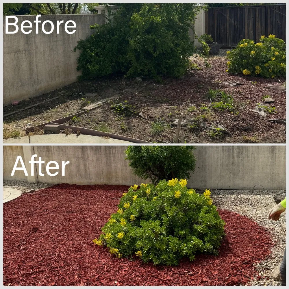 Expert yard maintenance in Fairfield, CA - Guada Gardening